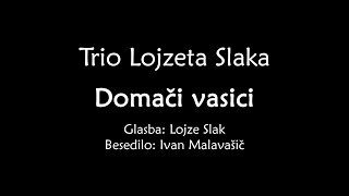 Trio Lojzeta Slaka - Domači Vasici Official Lyric Video