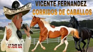 Vicente Fernandez Mix 2017 Corridos De Caballos Mix 2017
