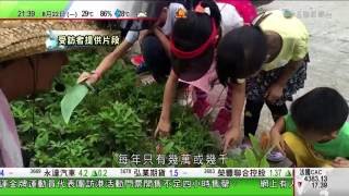 20160822 9:30 p.m 时事多面睇