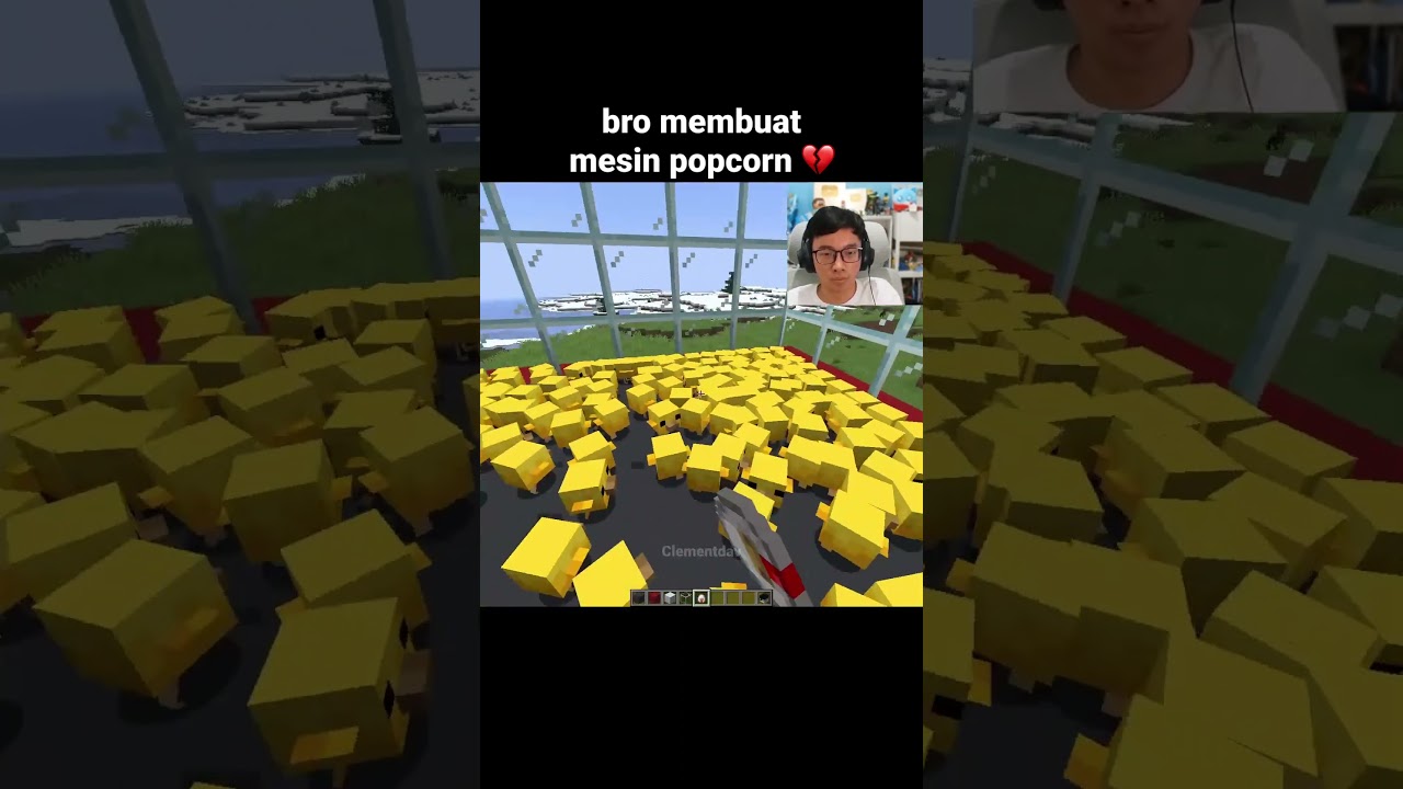 Momen Bayi Ayam Minecraft