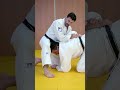 Renverser Uke Avec La Technique Du Bras De Levier Et Du Barrage mp3