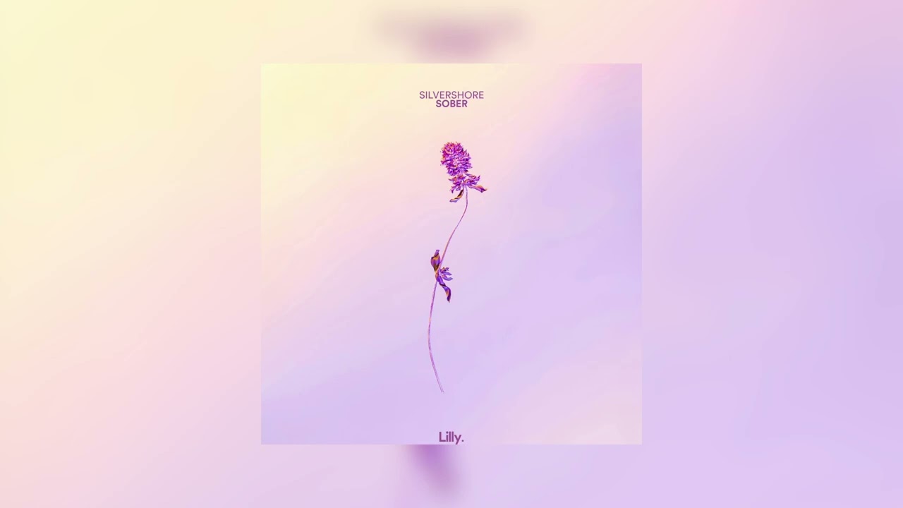 YouTube에서 Silvershore - Sober 보기 YouTube에서 Silvershore - Sober 보기