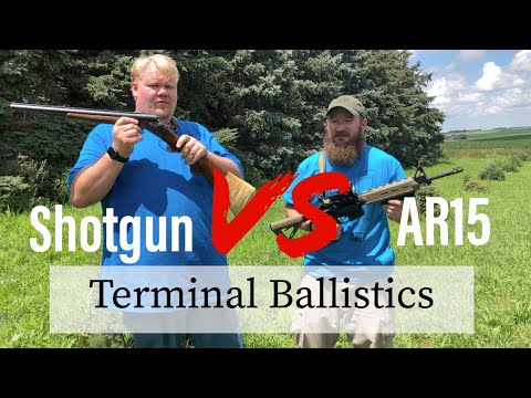 12ga Shotgun Vs Ar15 Terminal Ballistics