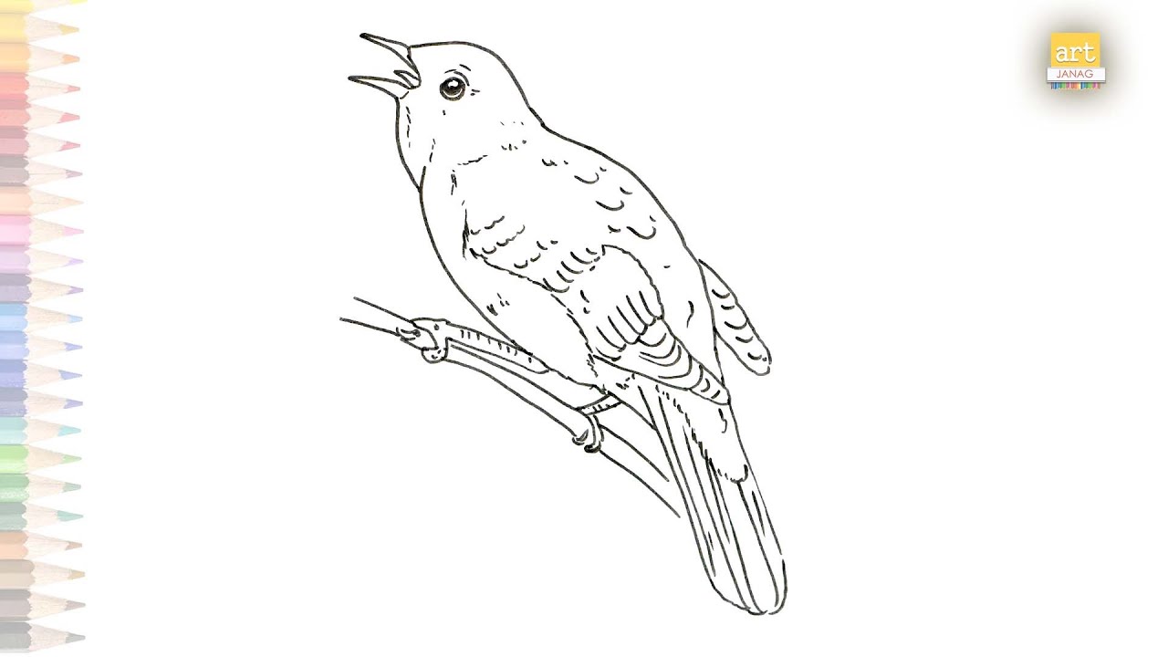 How to draw a nightingale with a pencil stepbystep drawing tutorial