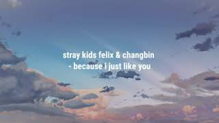 Stray Kids Felix U0026 Changbin  Because I Just Like You  English S