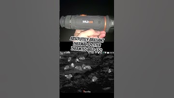 1000s of rats on site, using the @ThermTecOutdoor #viral #pestcontrol #rat #nightvision #hunting