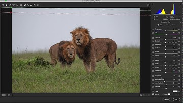 A practical guide to using Graduated Neutral Density Filter in Adobe Camera RAW