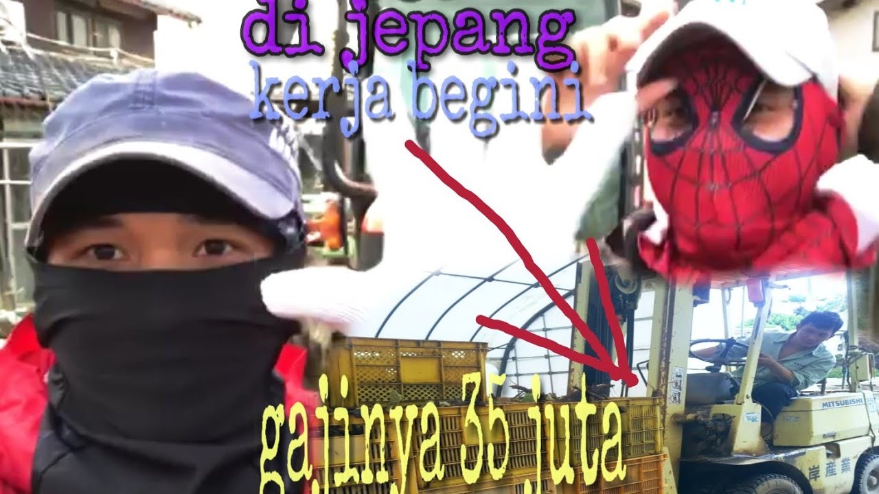 GAJI 35 JT KERJA DI PERTANIAN JEPANG YouTube GAJI 35 JT KERJA DI PERTANIAN JEPANG YouTube