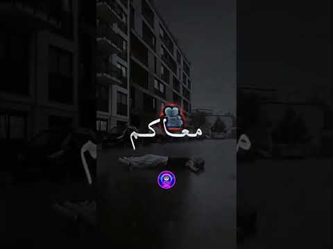 Bilel Tacchini 𝑴𝒂𝒌𝒂𝒄𝒉 𝑲𝒊𝒇𝒆𝒄𝒉