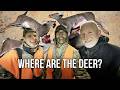 What The Third Month Of Deer Season Looked Like This Year