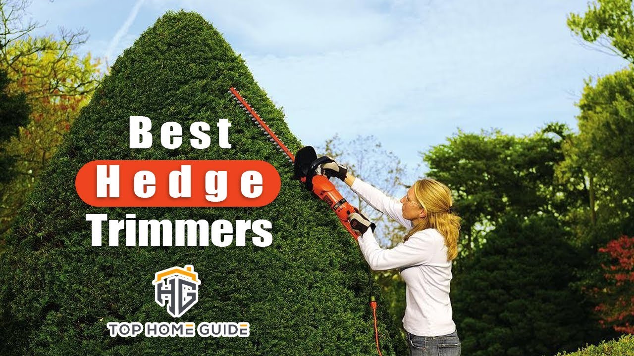 ️Trimmers: Top 5 Best Hedge Trimmers in 2021 - [ Buying Guide ] - YouTube