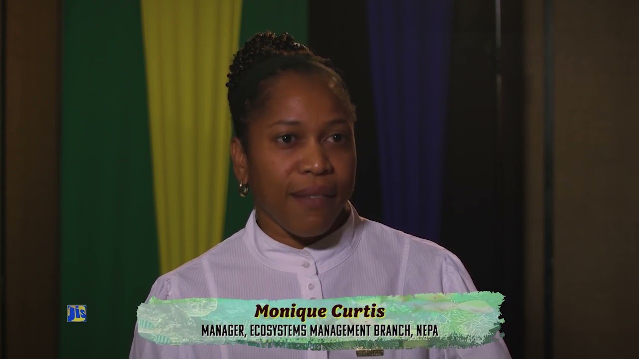 NEPA-World Wildlife Day 2025