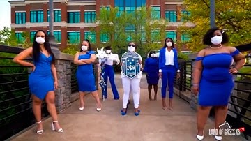 Must See! These Zetas Are the Prettiest We