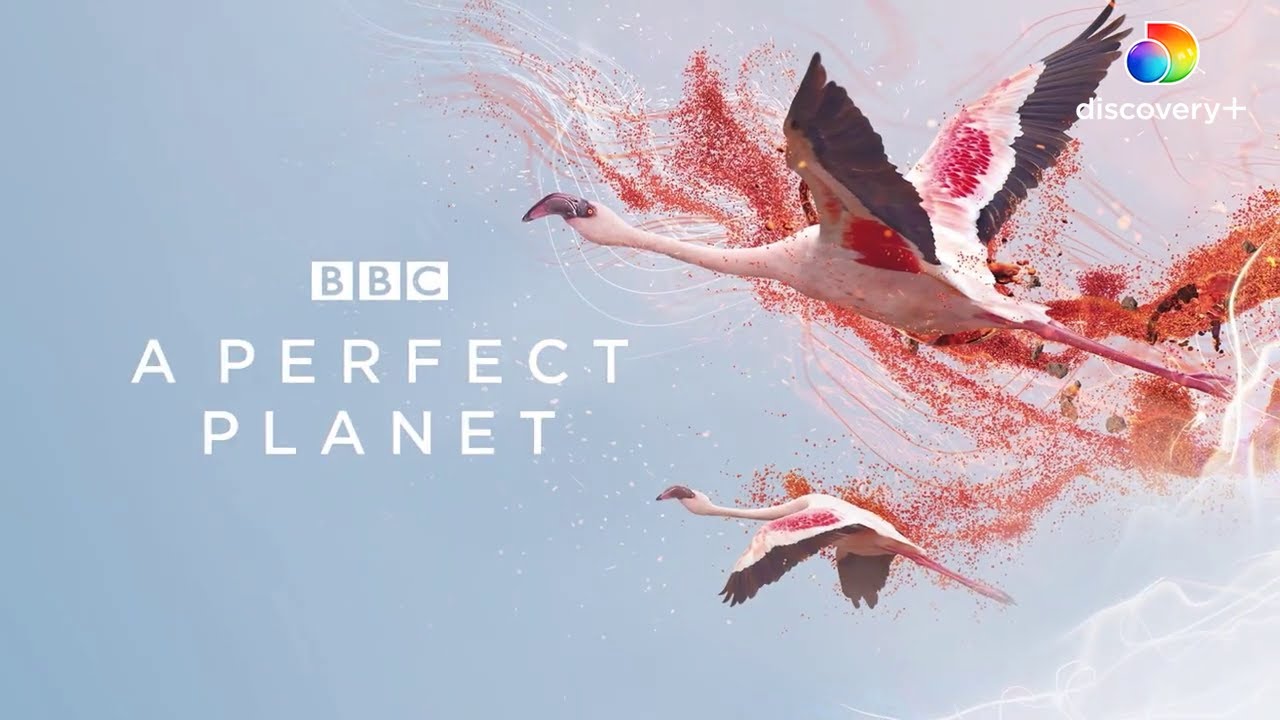Discover the Perfect Balance of Planet Earth | A Perfect Planet by David Attenborough - Discovery+