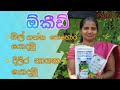 How to use orchid fertilizer | orchid pohora | ඕකීඩ් මල් ගන්න නිවැරදිව පොහොර යොදමු