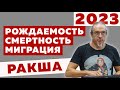 Ракша: рождаемость, смертность, миграция в 2023 году в России