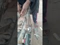 madigard fitting Motorcycle 70cc Asmr Video Engine Experts