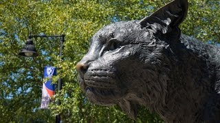 Congratulations UNH Class of 2017