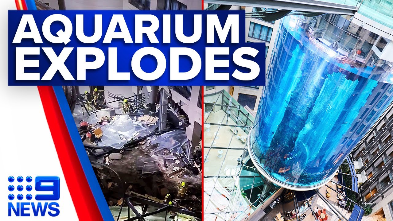 Huge Berlin aquarium bursts, releases flood of 1400 fish and flying