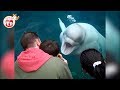 Funny Animals Scaring People At The Aquarium - Funniest Animals Videos 2018