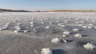 Пос. Васильево. Волжский затон. Остров "Коса" Декабрь 2020.