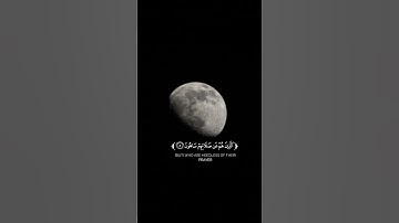 كروما شاشه سوداء قرآن كريم سورة الماعون جإو (كاملة) القارئ هيثم الدخين #