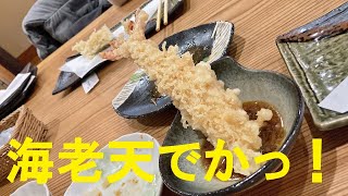 【正庵】【焼鳥日高】【和ラーメン】小田原ぶらり旅！