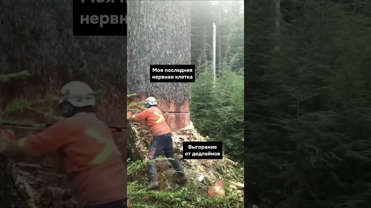 Делегируй мне рутину и сохрани нервные клетки 