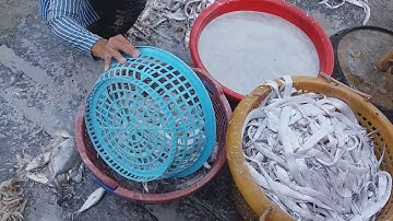 Video | Cảng cá Vàm Láng | Mùng 5 Tết 8 | Travel