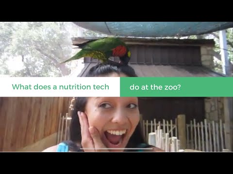 What It&rsquo;s Like To Work At The Zoo | Zoo Nutrition Technician | With Pictures