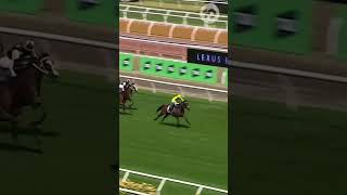 Without A Fight Wins 2023 Melbourne Cup | 10 News First
