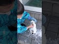 息子が一生懸命作った雪だるま～雪だるまの宿命