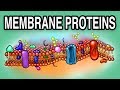 Membrane Proteins Quiz