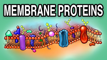 MEMBRANE PROTEINS - Types and Functions