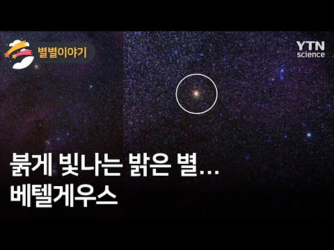 [별별이야기] 붉게 빛나는 밝은 별…베텔게우스 / YTN 사이언스