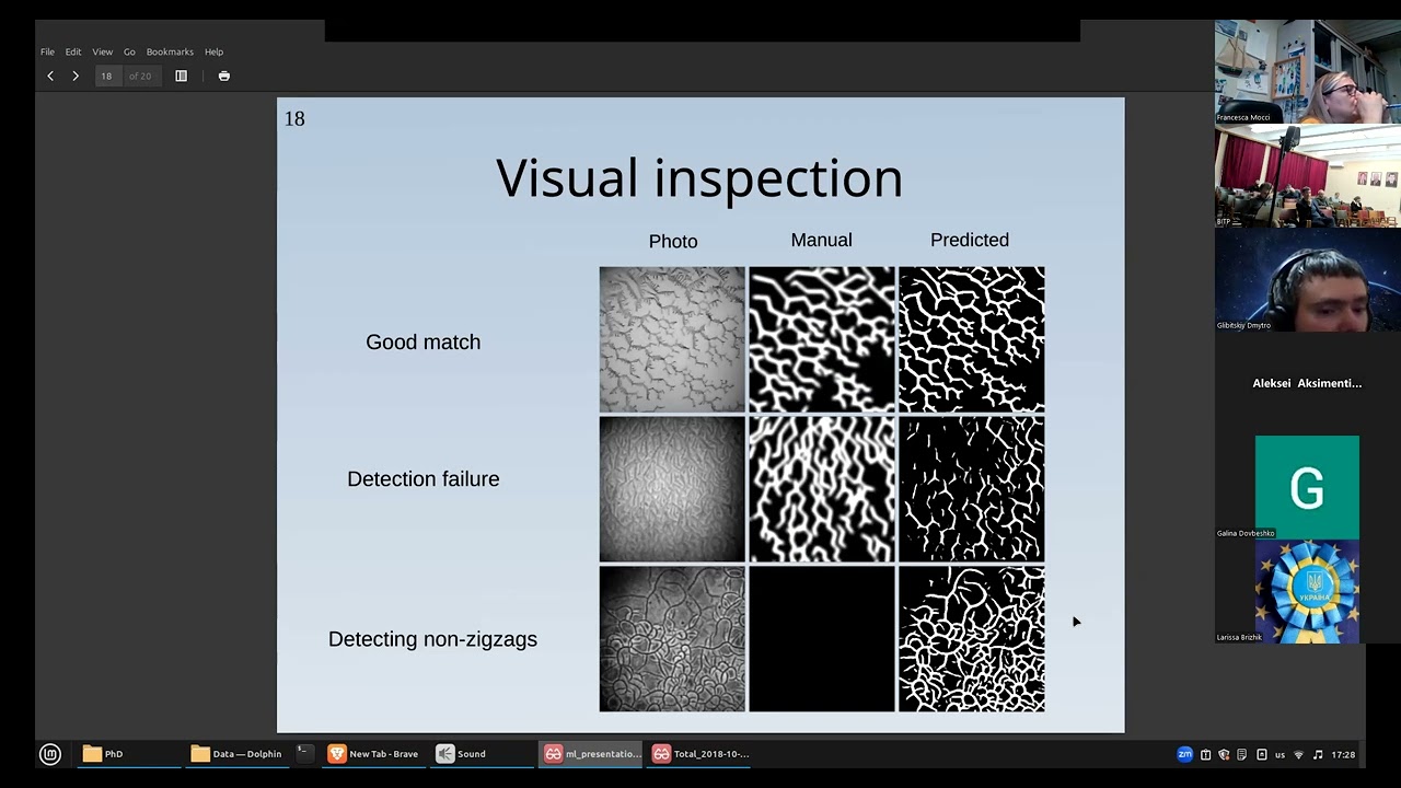 Dmitriy Glibitskiy «Machine learning-based segmentation of zigzag patterns in BSA film micrographs» 