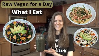 What I Eat  Raw Vegan for a Day  Goodbye Lupus Protocol