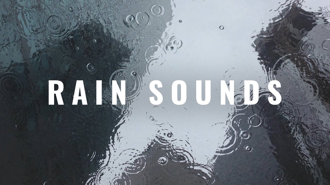 Relaxing Sound of Rain and Wind in Forest 1 Hour / Rain Drops Falling ...
