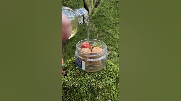 Survival Fire Igniters! She is ready to go Outdoors 🪵🧍‍♀️#survivalskills #camping #lifehack