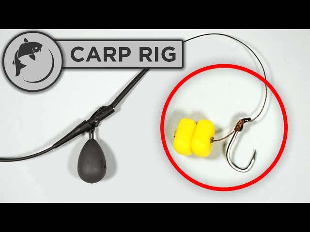 Beginners rigs – Where to start if you are beginning carp fishing – The  Masterblanker