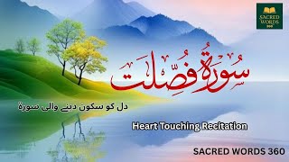 Surah Fussilat (فصلت‎) by Yousaf Nooh, #Quran, #sacredwords, #talawatquran,  #QuranRecitation,