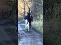 Dad and daughter Festive Hack #horseandpony #festiveride