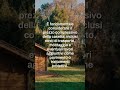 Tendenze outdoor del momento: la casetta da giardino può risolvere più problemi di quanto immagini