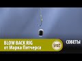 Тот САМЫЙ поводок?Да, BLOW BACK RIG Марка Питчерса! Карпфишинг с Хэри Чэрингтоном. СОВЕТЫ