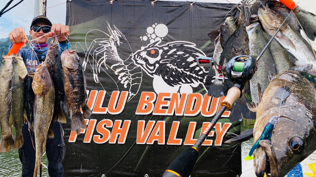 Kolam B ULU Bendul Fish Valley Strike Jenahak Gorgon Guna 8lb🐠Pesta Siakap Merah‼️Kaci🦈MJ🐬 Niken Rod