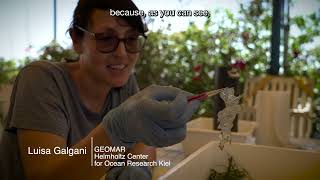 SeaPaCS – Participatory Citizen Science against Marine Pollution