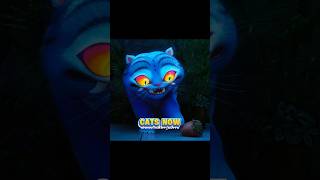 Cats Now Vs Cats Then