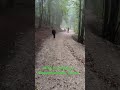 Hike to bridge at Neuschwanstein Castle