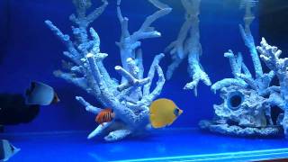 video-2011-03-08-09-09-45.mp4