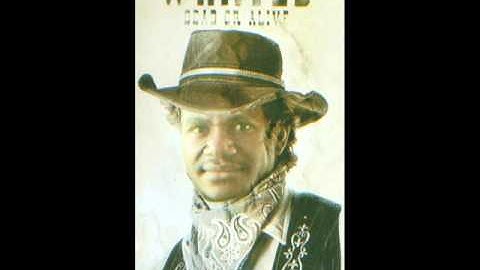 malsec eses   adnolity in collaboration with malele multimedia